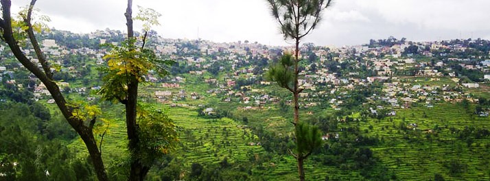 370/Kasaar Jungle Resort - Almora 11.jpg